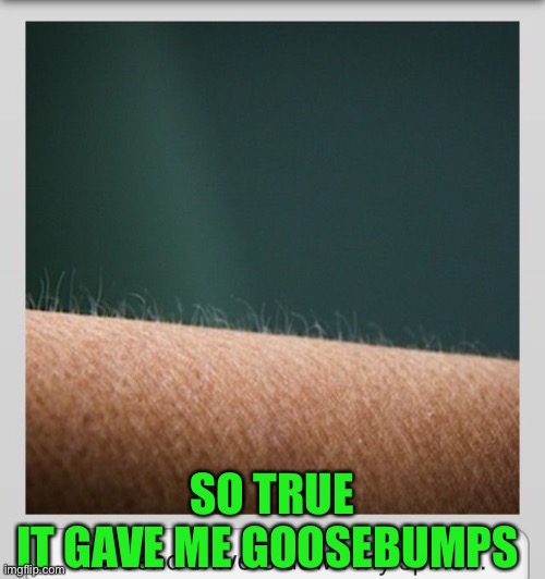 Goosebumps and shivers  | SO TRUE
IT GAVE ME GOOSEBUMPS | image tagged in goosebumps and shivers | made w/ Imgflip meme maker