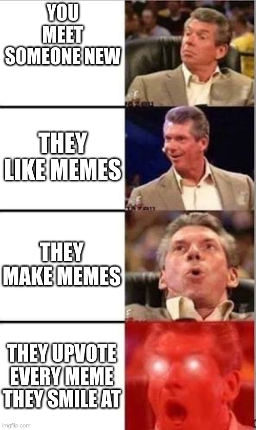 Wwe shocked | YOU MEET SOMEONE NEW; THEY LIKE MEMES; THEY MAKE MEMES; THEY UPVOTE EVERY MEME THEY SMILE AT | image tagged in wwe shocked | made w/ Imgflip meme maker