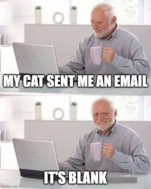 Hide the Pain Harold | MY CAT SENT ME AN EMAIL; IT'S BLANK | image tagged in memes,hide the pain harold | made w/ Imgflip meme maker