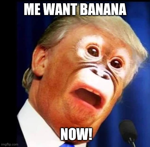 planet of the trumps | ME WANT BANANA; NOW! | image tagged in planet of the trumps | made w/ Imgflip meme maker