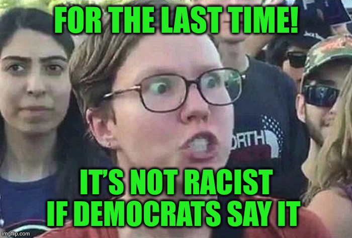 Triggered Liberal | FOR THE LAST TIME! IT’S NOT RACIST
IF DEMOCRATS SAY IT | image tagged in triggered liberal | made w/ Imgflip meme maker