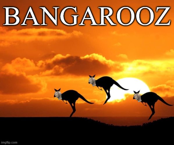 Bangarooz | BANGAROOZ | image tagged in kangaroo sunset,kangaroo,meanwhile in australia,australia,sunset,meme man | made w/ Imgflip meme maker