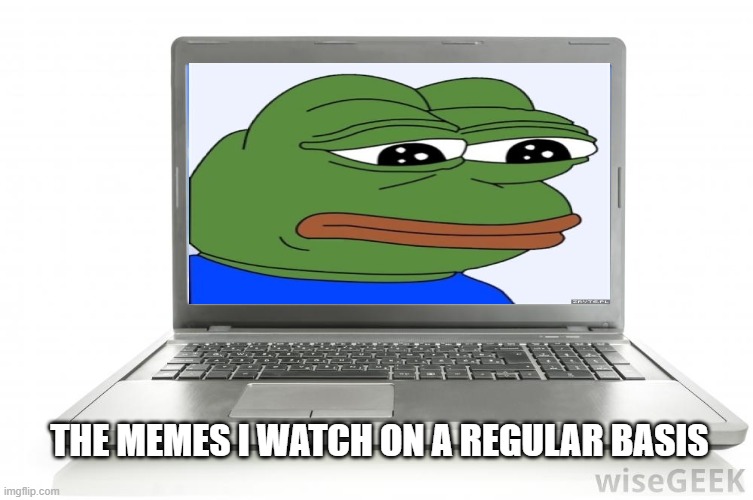 Computer |  THE MEMES I WATCH ON A REGULAR BASIS | image tagged in computer | made w/ Imgflip meme maker