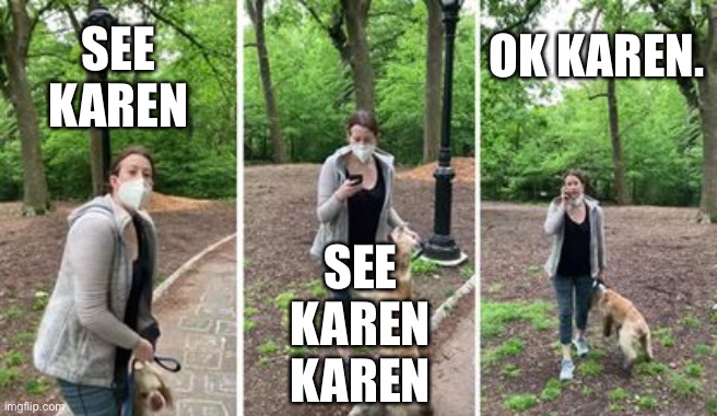 See Karen Karen | OK KAREN. SEE KAREN; SEE KAREN KAREN | image tagged in karen,omg karen,okkaren,seekaren,centralparkkaren | made w/ Imgflip meme maker