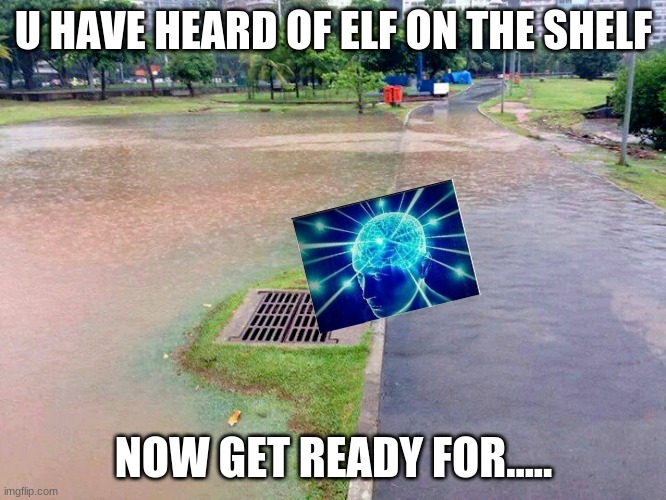 Brain in the Drain | U HAVE HEARD OF ELF ON THE SHELF; NOW GET READY FOR..... | image tagged in storm water drain above water | made w/ Imgflip meme maker