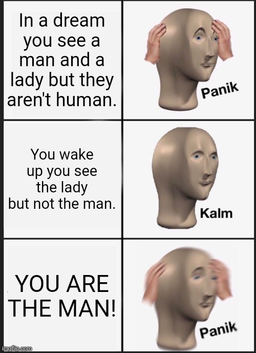 Panik Kalm Panik | In a dream you see a man and a lady but they aren't human. You wake up you see the lady but not the man. YOU ARE THE MAN! | image tagged in memes,panik kalm panik | made w/ Imgflip meme maker