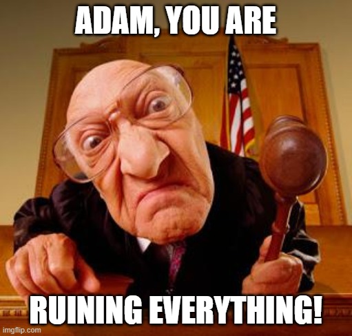 Mean Judge | ADAM, YOU ARE RUINING EVERYTHING! | image tagged in mean judge | made w/ Imgflip meme maker