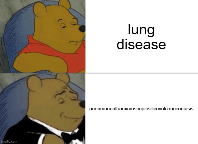 xD | lung disease; pneumonoultramicroscopicsilicovolcanoconiosis | image tagged in memes,tuxedo winnie the pooh | made w/ Imgflip meme maker