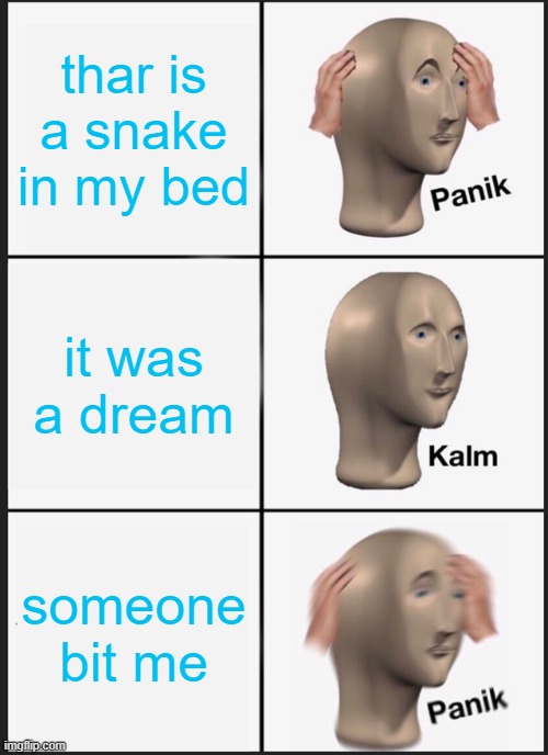 Panik Kalm Panik | thar is a snake in my bed; it was a dream; someone bit me | image tagged in memes,panik kalm panik | made w/ Imgflip meme maker