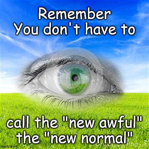 new normal is the new awful | Remember
You don't have to; call the "new awful"
the "new normal" | image tagged in new | made w/ Imgflip meme maker