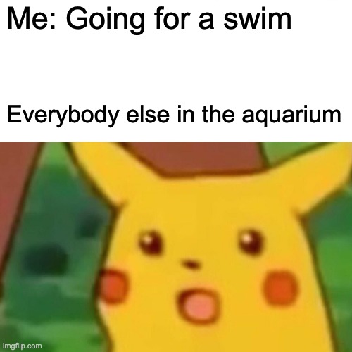 Just Going for a swim | Me: Going for a swim; Everybody else in the aquarium | image tagged in memes,surprised pikachu | made w/ Imgflip meme maker