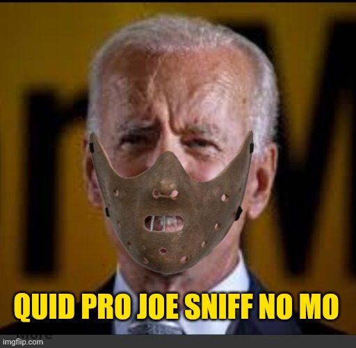 Joe Biden | QUID PRO JOE SNIFF NO MO | image tagged in joe biden | made w/ Imgflip meme maker