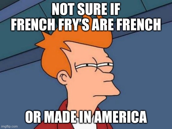Futurama Fry Meme | NOT SURE IF FRENCH FRY’S ARE FRENCH; OR MADE IN AMERICA | image tagged in memes,futurama fry | made w/ Imgflip meme maker