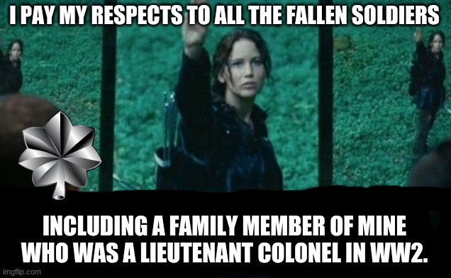 I PAY MY RESPECTS TO ALL THE FALLEN SOLDIERS INCLUDING A FAMILY MEMBER OF MINE WHO WAS A LIEUTENANT COLONEL IN WW2. | made w/ Imgflip meme maker