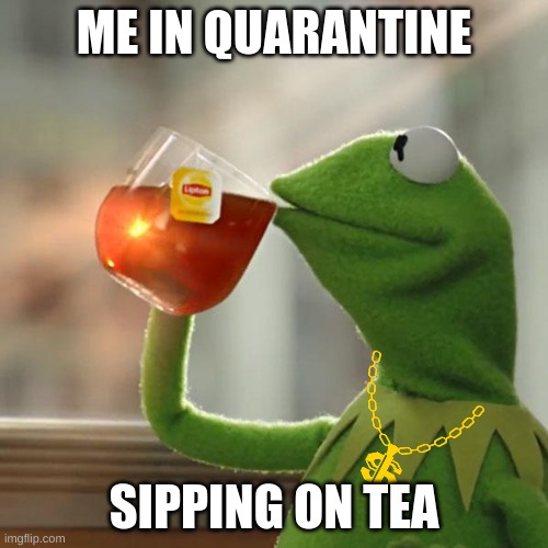 But That's None Of My Business | ME IN QUARANTINE; SIPPING ON TEA | image tagged in memes,but that's none of my business,kermit the frog | made w/ Imgflip meme maker