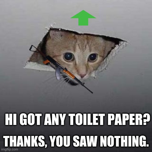 Ceiling Cat | THANKS, YOU SAW NOTHING. HI GOT ANY TOILET PAPER? | image tagged in memes,ceiling cat | made w/ Imgflip meme maker