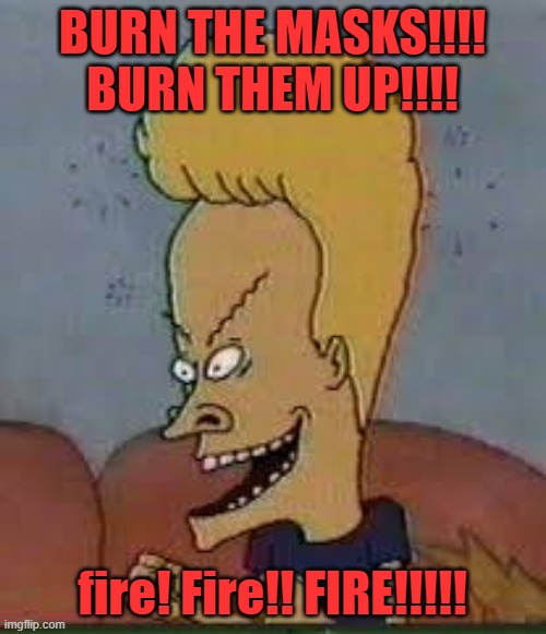 beavis | BURN THE MASKS!!!! BURN THEM UP!!!! fire! Fire!! FIRE!!!!! | image tagged in beavis | made w/ Imgflip meme maker