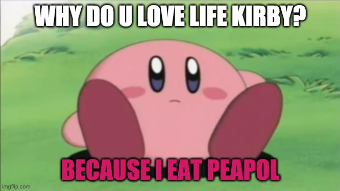 life acording to kirby | WHY DO U LOVE LIFE KIRBY? BECAUSE I EAT PEAPOL | image tagged in kirby | made w/ Imgflip meme maker