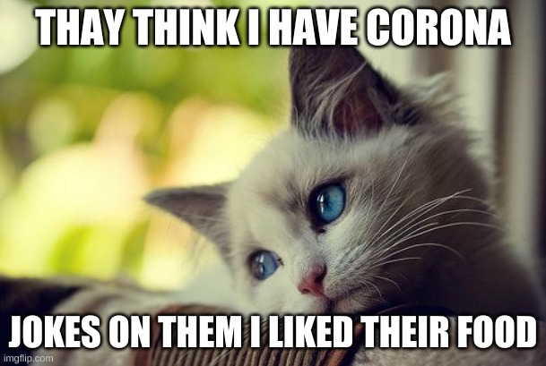 First World Problems Cat | THAY THINK I HAVE CORONA; JOKES ON THEM I LIKED THEIR FOOD | image tagged in memes,first world problems cat | made w/ Imgflip meme maker