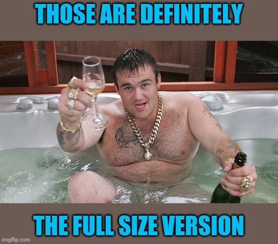 Mikey | THOSE ARE DEFINITELY THE FULL SIZE VERSION | image tagged in mikey | made w/ Imgflip meme maker