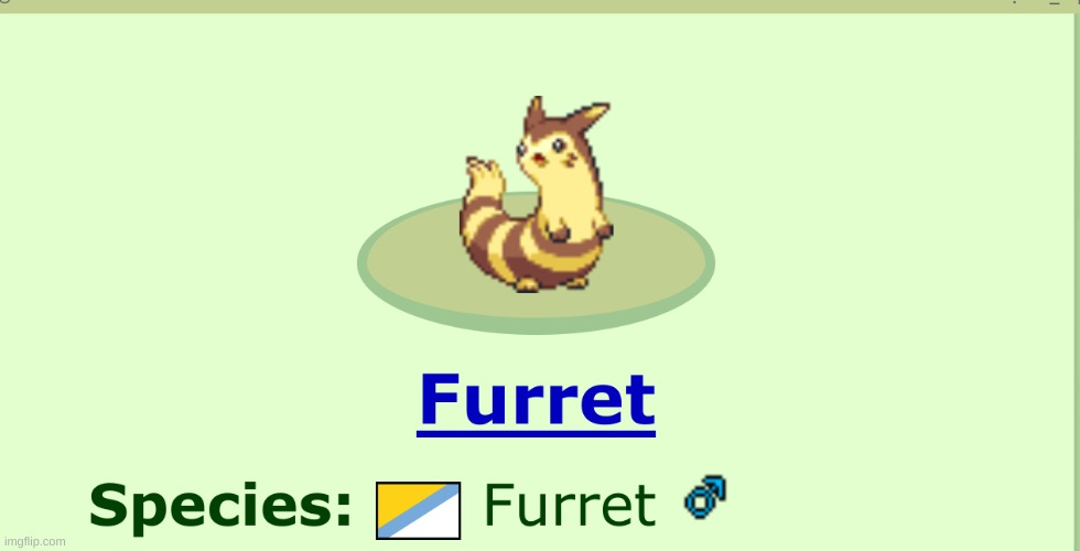 made my crappy day on pokemon | image tagged in furret boi | made w/ Imgflip meme maker