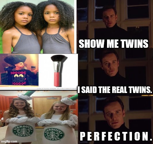 twins | SHOW ME TWINS; I SAID THE REAL TWINS. P E R F E C T I O N . | image tagged in perfection,twins,weird,fun,potatoes- | made w/ Imgflip meme maker