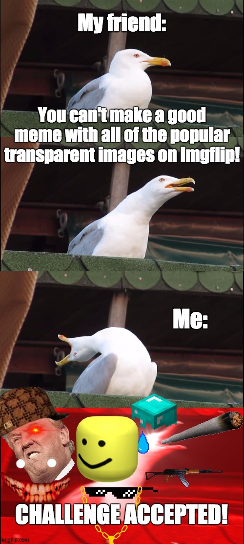 CHALLENGE ACCEPTED! | My friend:; You can't make a good meme with all of the popular transparent images on Imgflip! Me:; CHALLENGE ACCEPTED! | image tagged in memes,inhaling seagull | made w/ Imgflip meme maker