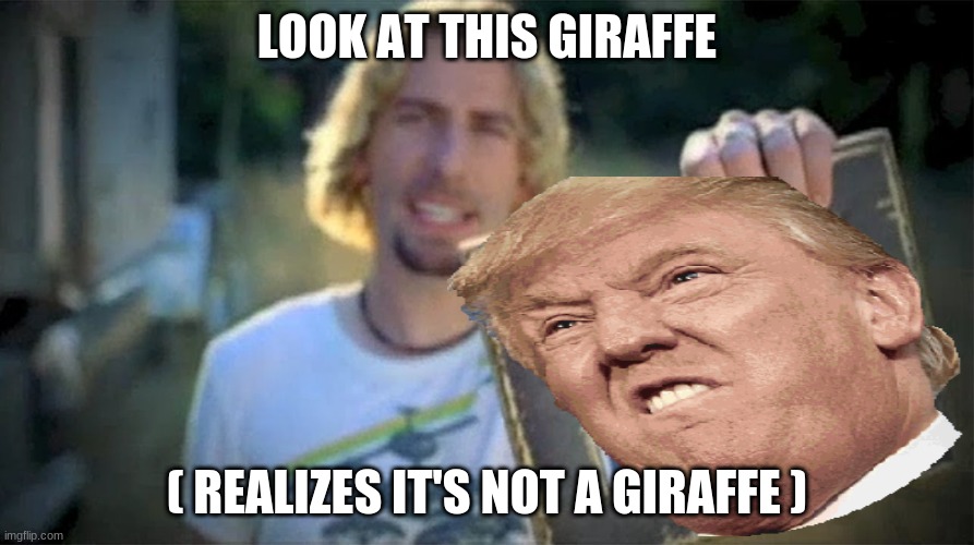 LOOK AT THIS GIRAFFE; ( REALIZES IT'S NOT A GIRAFFE ) | image tagged in look at this photograph | made w/ Imgflip meme maker