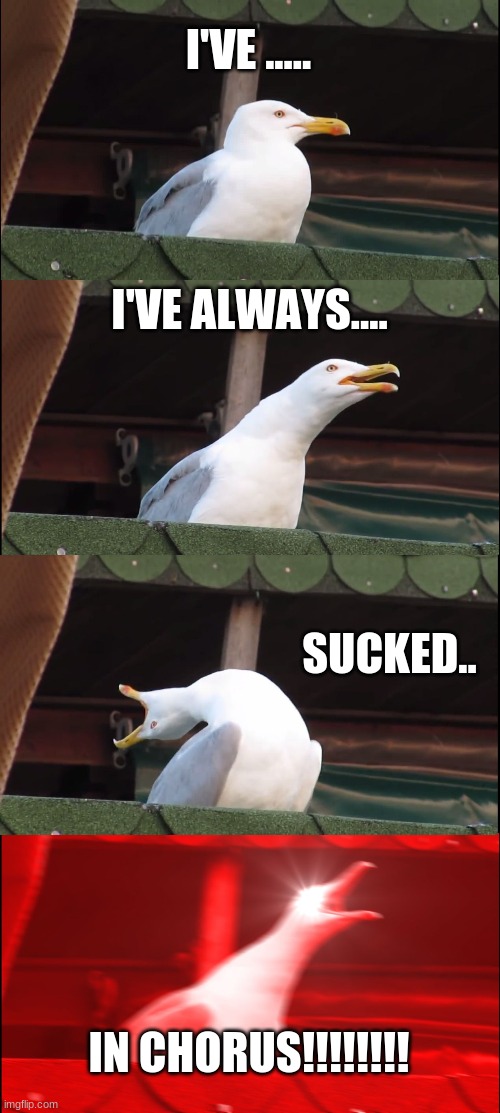 sucked in chorus | I'VE ..... I'VE ALWAYS.... SUCKED.. IN CHORUS!!!!!!!! | image tagged in memes,inhaling seagull | made w/ Imgflip meme maker