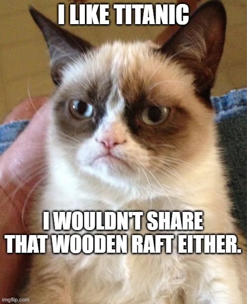 Not Sharing cuz I'm Not Caring. | I LIKE TITANIC; I WOULDN'T SHARE THAT WOODEN RAFT EITHER. | image tagged in memes,grumpy cat | made w/ Imgflip meme maker
