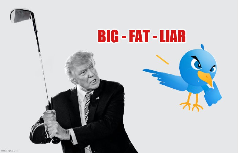 Liar-Liar Pants on Fire.... | BIG - FAT - LIAR | image tagged in donald trump is an idiot,twitter,trump twitter,trump is an asshole | made w/ Imgflip meme maker