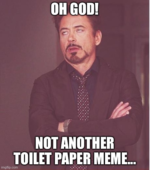 Face You Make Robert Downey Jr Meme | OH GOD! NOT ANOTHER TOILET PAPER MEME... | image tagged in memes,face you make robert downey jr | made w/ Imgflip meme maker