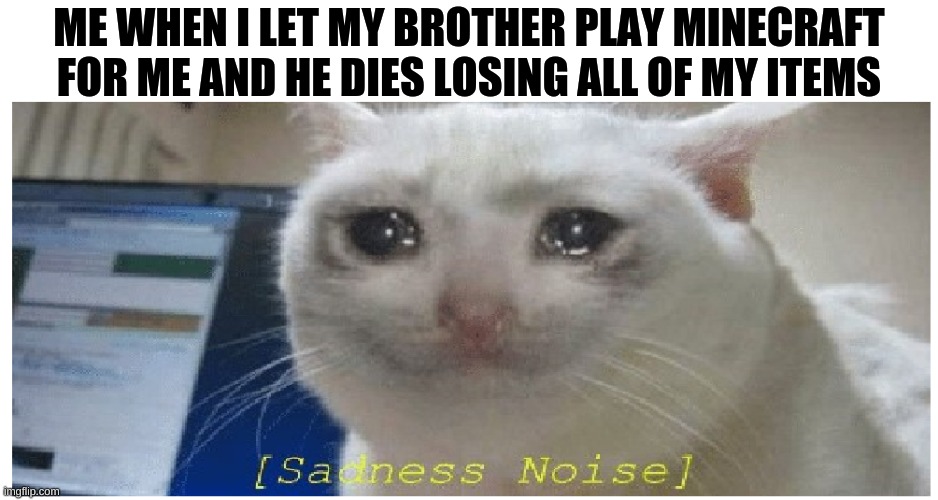 *cries* | ME WHEN I LET MY BROTHER PLAY MINECRAFT FOR ME AND HE DIES LOSING ALL OF MY ITEMS | image tagged in siblings,oh wow are you actually reading these tags | made w/ Imgflip meme maker