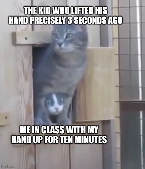 Cat on top of cat | THE KID WHO LIFTED HIS HAND PRECISELY 3 SECONDS AGO; ME IN CLASS WITH MY HAND UP FOR TEN MINUTES | image tagged in cat | made w/ Imgflip meme maker