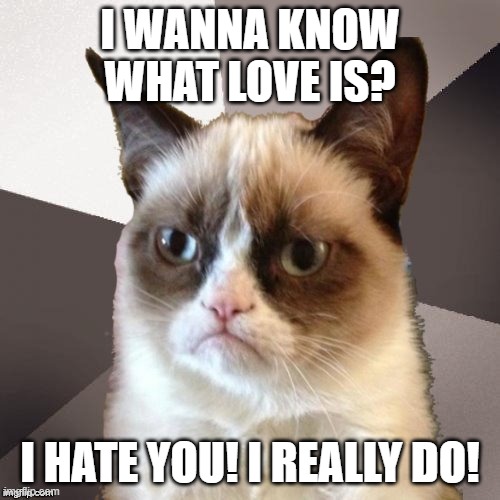 Musically Malicious Grumpy Cat | I WANNA KNOW WHAT LOVE IS? I HATE YOU! I REALLY DO! | image tagged in musically malicious grumpy cat,grumpy cat,foreigner,80s music | made w/ Imgflip meme maker