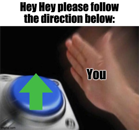 Follow the direction | Hey Hey please follow the direction below:; You | image tagged in memes,blank nut button | made w/ Imgflip meme maker