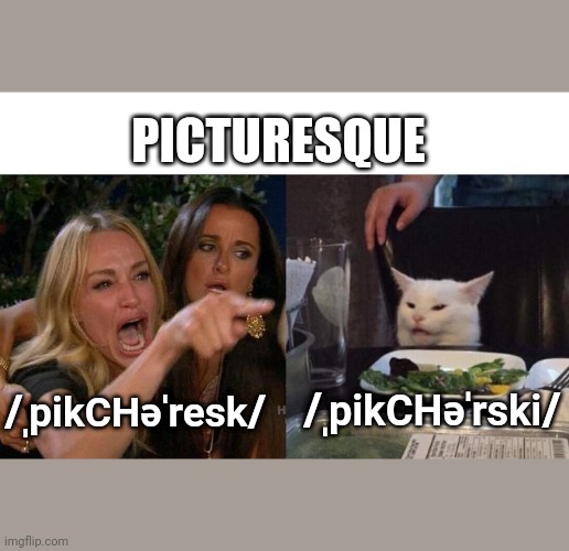 Woman Yelling At Cat Meme | PICTURESQUE; /ˌpikCHəˈresk/; /ˌpikCHəˈrski/ | image tagged in memes,woman yelling at cat | made w/ Imgflip meme maker