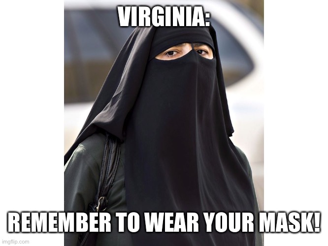 Mask | VIRGINIA:; REMEMBER TO WEAR YOUR MASK! | image tagged in face mask | made w/ Imgflip meme maker