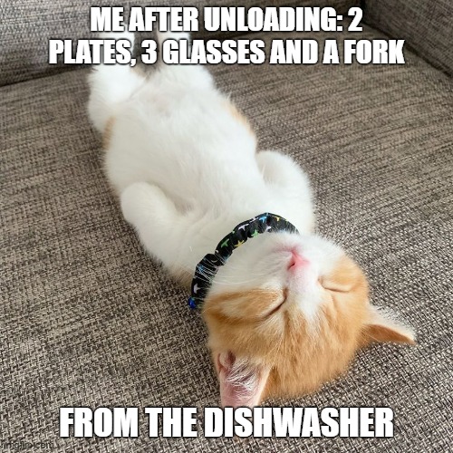 Time for a Nap. | ME AFTER UNLOADING: 2 PLATES, 3 GLASSES AND A FORK; FROM THE DISHWASHER | image tagged in nap time,cute cat,chores,lazy cat | made w/ Imgflip meme maker