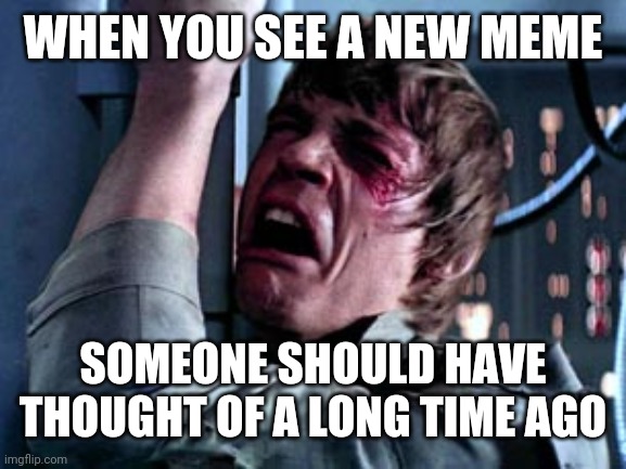 Luke Skywalker Noooo | WHEN YOU SEE A NEW MEME SOMEONE SHOULD HAVE THOUGHT OF A LONG TIME AGO | image tagged in luke skywalker noooo | made w/ Imgflip meme maker