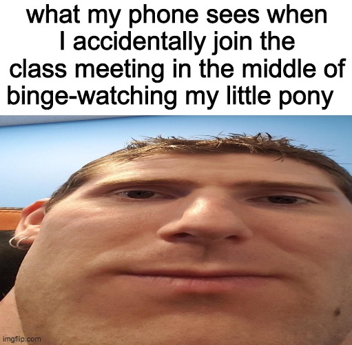 100% relatable | what my phone sees when I accidentally join the class meeting in the middle of binge-watching my little pony | image tagged in linoos,bruh moment | made w/ Imgflip meme maker