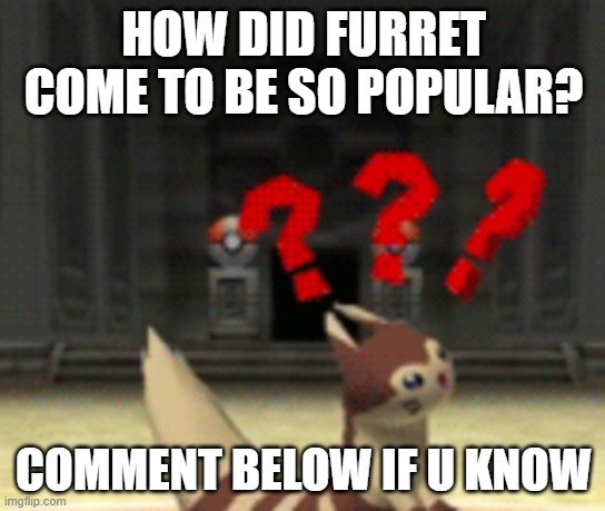 how is furret so popular??? | HOW DID FURRET COME TO BE SO POPULAR? COMMENT BELOW IF U KNOW | image tagged in confused furret,question,popularity | made w/ Imgflip meme maker