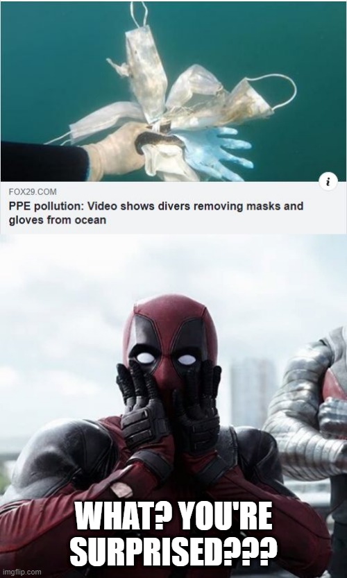 Not Shocking | WHAT? YOU'RE SURPRISED??? | image tagged in memes,deadpool surprised | made w/ Imgflip meme maker