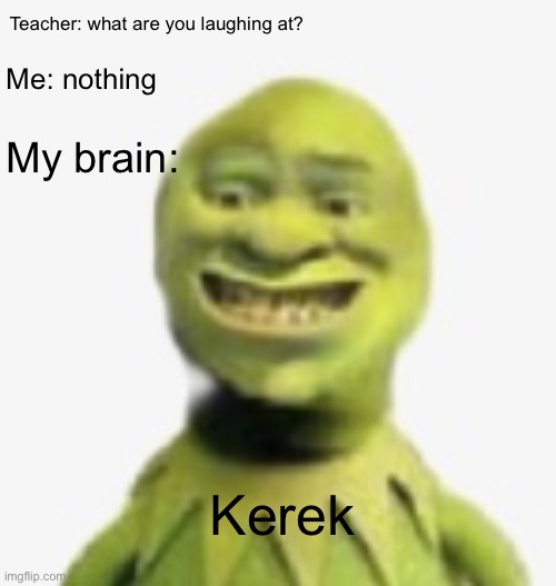 Shrek and kermit | Teacher: what are you laughing at? Me: nothing; My brain:; Kerek | image tagged in shrek and kermit | made w/ Imgflip meme maker
