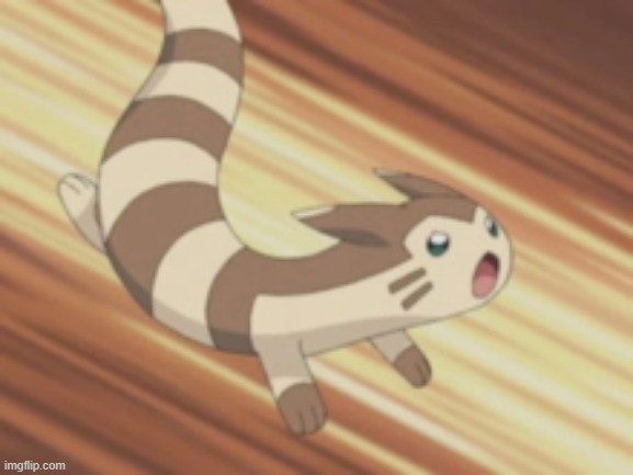 Angry Furret | image tagged in angry furret | made w/ Imgflip meme maker