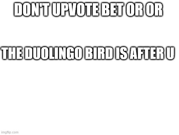 tell me what I just said | DON'T UPVOTE BET OR OR; THE DUOLINGO BIRD IS AFTER U | image tagged in blank white template | made w/ Imgflip meme maker