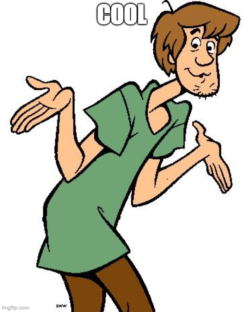 Shaggy from Scooby Doo | COOL | image tagged in shaggy from scooby doo | made w/ Imgflip meme maker