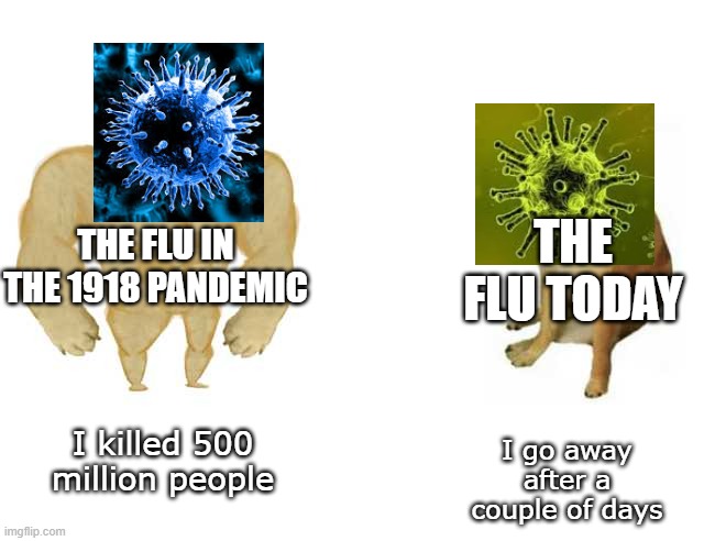 Flu then VS Flu today | THE FLU IN THE 1918 PANDEMIC; THE FLU TODAY; I killed 500 million people; I go away after a couple of days | image tagged in strong doge weak doge,memes,funny memes,sickness | made w/ Imgflip meme maker
