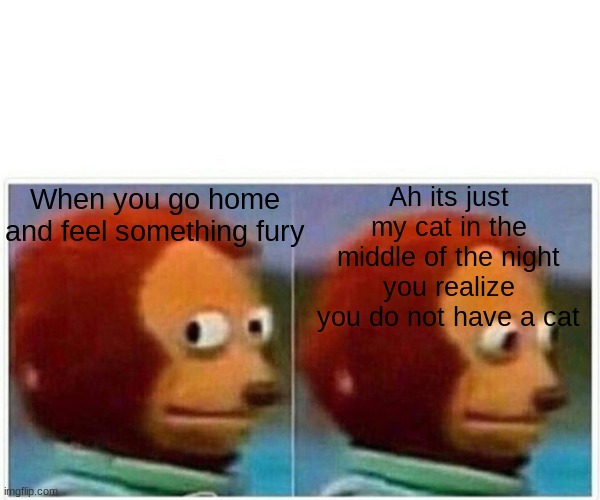 The Cat..... | Ah its just my cat in the middle of the night you realize you do not have a cat; When you go home and feel something fury | image tagged in memes,monkey puppet | made w/ Imgflip meme maker