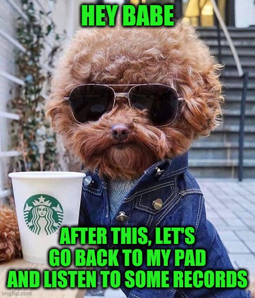 Retro | HEY BABE; AFTER THIS, LET'S GO BACK TO MY PAD AND LISTEN TO SOME RECORDS | image tagged in groovy | made w/ Imgflip meme maker